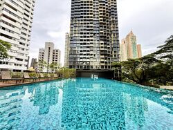 Irwell Hill Residences (D9), Apartment #481047091